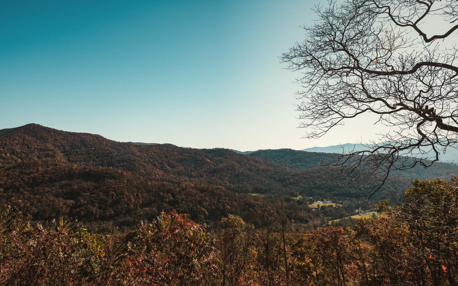 The Best Time of Year to Visit