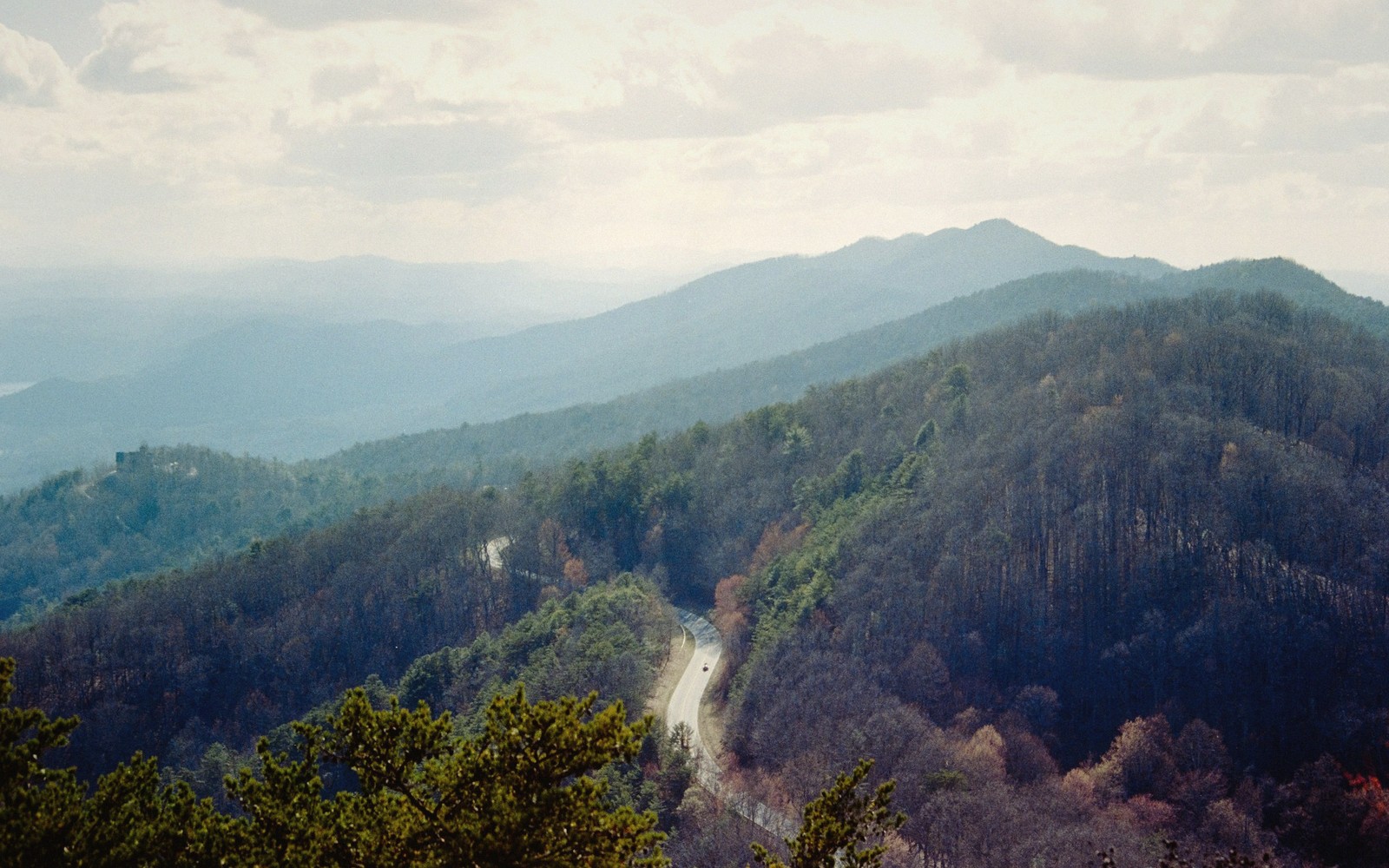 Coker Creek: Gold and Waterfalls