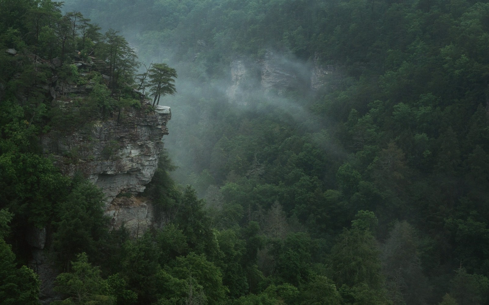 Mist drifts through a forested gorge with steep rock cliffs on both sides